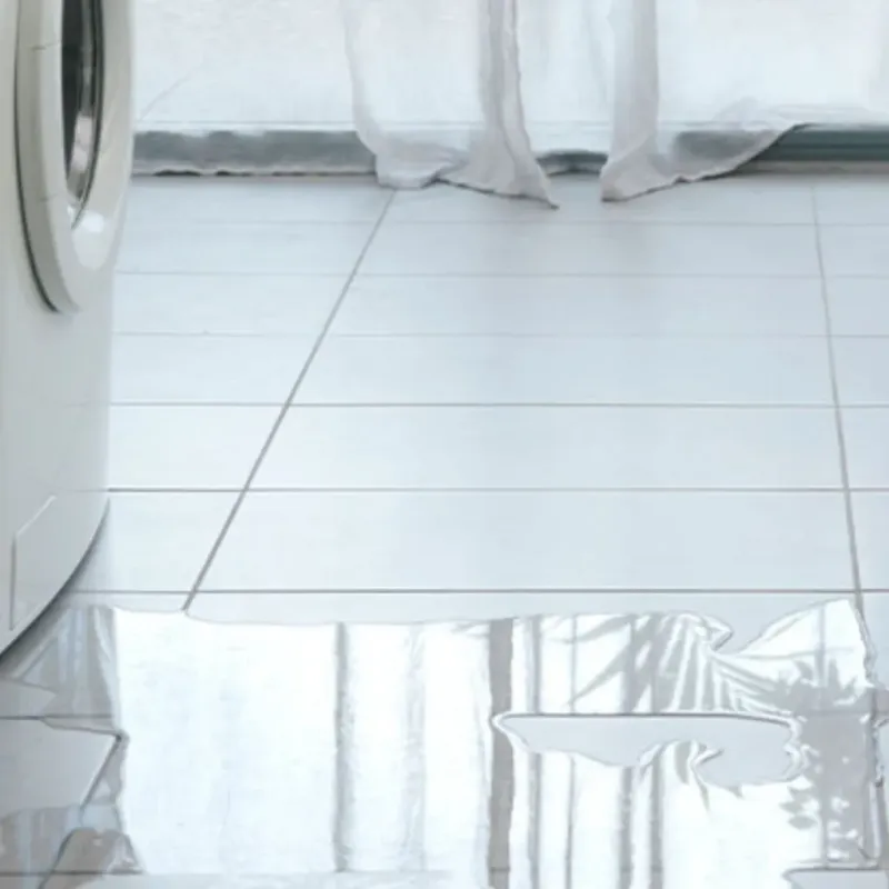 Appliance Leak Cleanup in Carlyss, LA