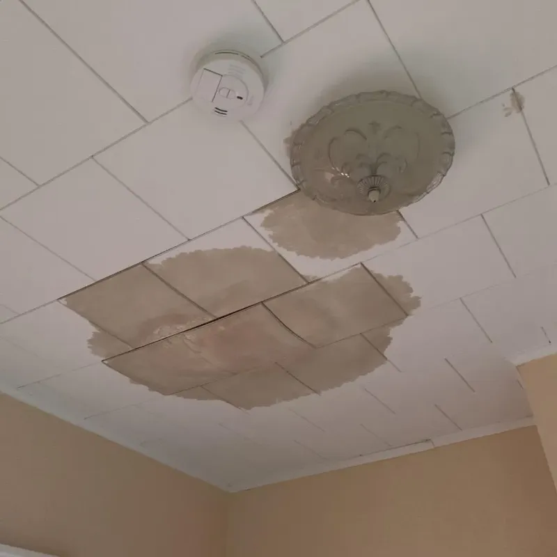 Ceiling Water Damage Repair in Carlyss, LA